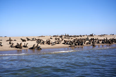 WalvisBay14