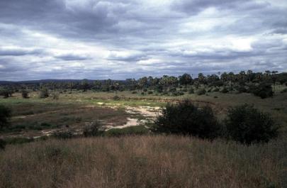 Tanzania151