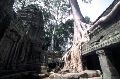 Angkor22