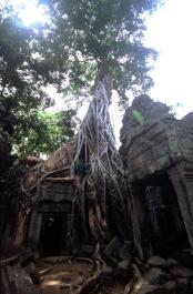 Angkor23