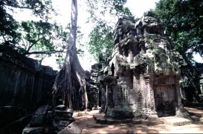 Angkor24