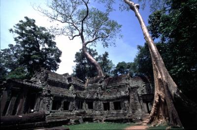 Angkor26