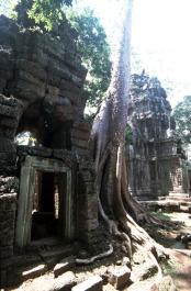 Angkor30