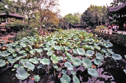 China - Classical Gardens of Suzhou