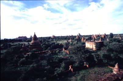 Bagan37