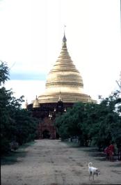 Bagan64