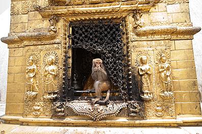 Swayambhunath12