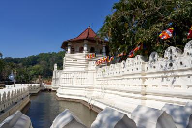 Kandy07