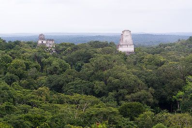 Tikal01