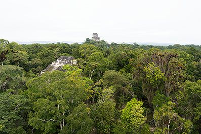 Tikal03