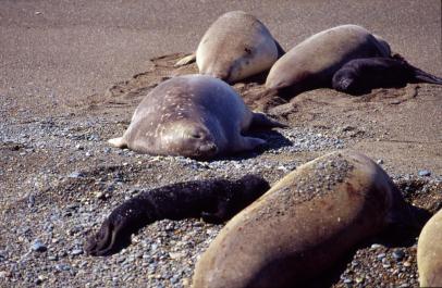 PuertoMadryn23